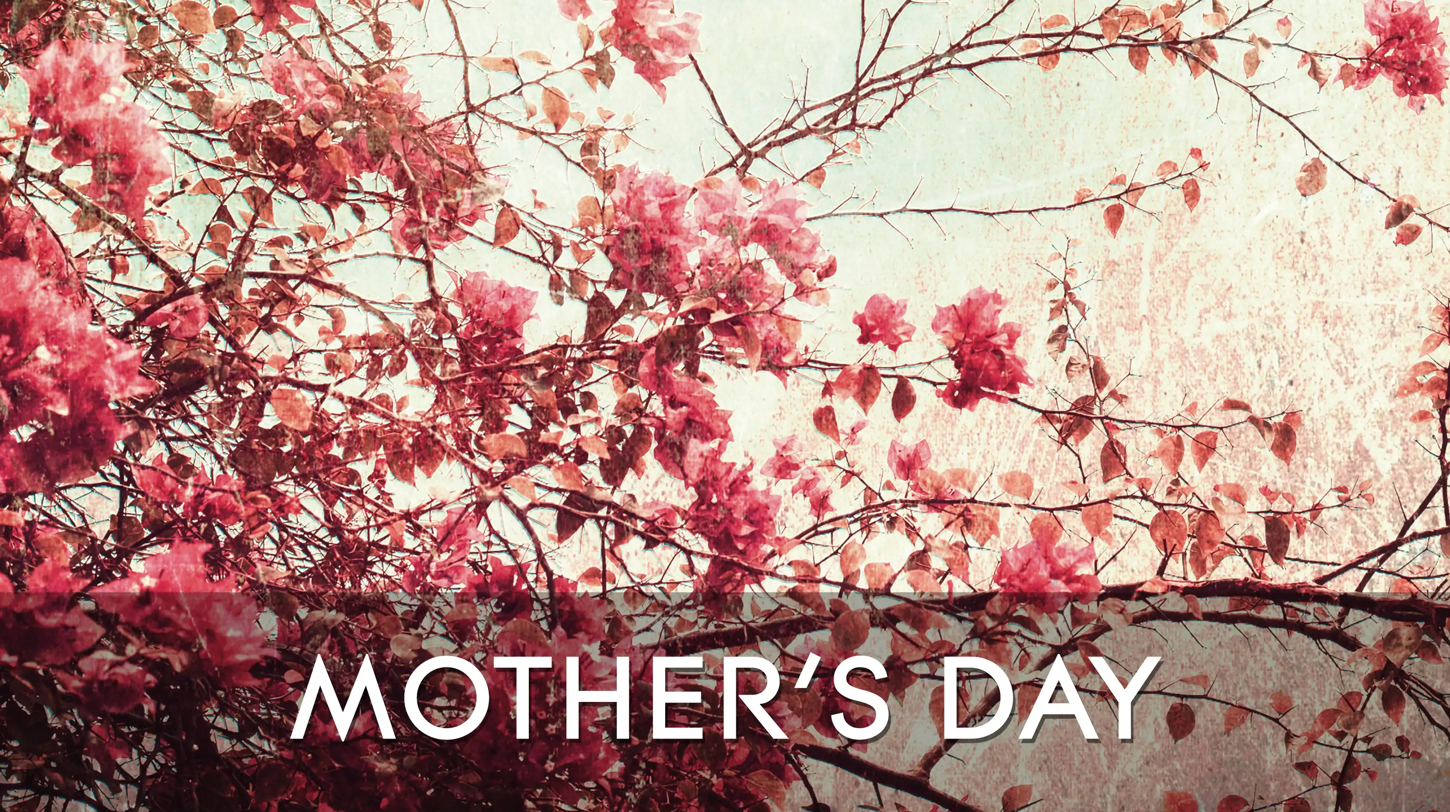 Staff Playlists - Mother's Day
